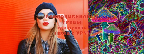 меф Белокуриха
