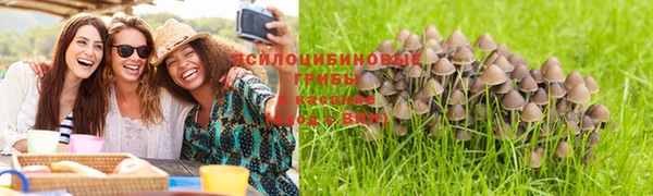 меф Белокуриха